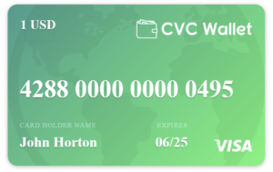 virtual visa card balance